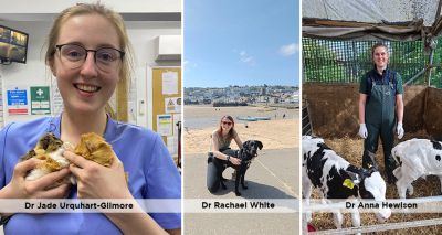 Finalists revealed for Young Vet of the Year 2026